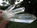 画像3: 三本の矢マニカラン産水晶 (3)