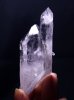 画像5: 高品質カンチェンジュンガ産ヒマラヤ水晶（C）