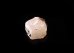 画像3: 高波動フェナカイト珍しいコロラド産原石（L） (3)