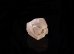 画像5: 高波動フェナカイト珍しいコロラド産原石（H） (5)