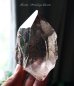 画像3: 神聖な高品質スカルドゥ産ヒマラヤスモーキー水晶◇