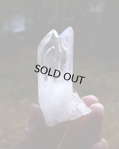 画像6: 高品質カンチェンジュンガ産ヒマラヤ水晶（B'）