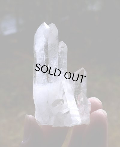 画像7: 高品質カンチェンジュンガ産ヒマラヤ水晶（B'）