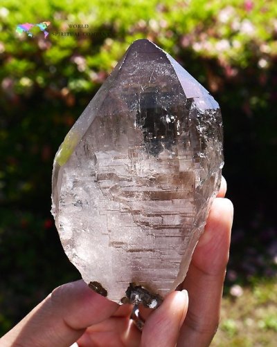 画像1: 神聖な高品質カテドラルアイススモーキースカルドゥ産ヒマラヤ水晶◇
