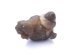 画像7: 子宮の石カルセドニーノジュール原石◇インナーチャイルドの癒しにもおすすめです（Ａ）