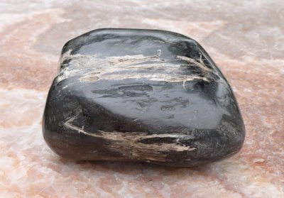 画像4: インドネシア産ヤシの珪化木◇