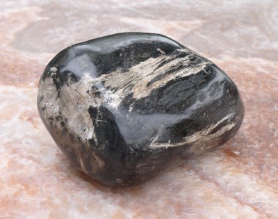 画像5: インドネシア産ヤシの珪化木◇