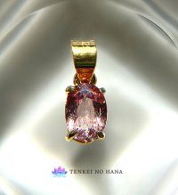 （＊希少）人生に勢いをつけるドラゴンガーネットペンダントトップ◇（G）