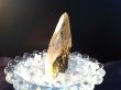 画像4: ラパ産ガネーシュヒマラヤ産水晶（027） (4)