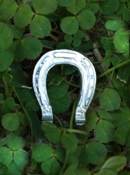 画像1: Pocket horseshoe (1)