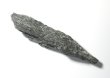画像2: ブラックカイヤナイト原石（E） (2)