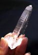 画像5: 制限を開放する水晶コロンビア産レムリアン水晶◇（C'） (5)