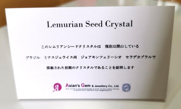 画像10: (＊希少)セラデカブラル産初期の高波動レムリアンシードクリスタル統合のグリッド巻き®ペンダントトップ（S）証明書付き (10)